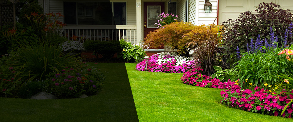 Glen Oaks Landscapers